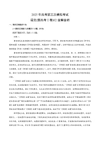 2025年高考第三次模拟考试卷：语文（广东卷02）（解析版）