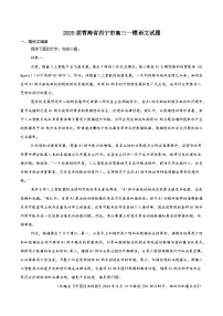 青海省西宁市2025届高三下学期一模语文试卷（Word版附答案）