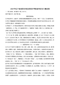 2025年辽宁省沈阳市东北师育才学校高考语文六模试卷(含详细答案解析)