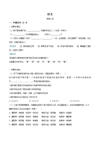 上海市虹口区2022-2023学年高三上学期期末（一模）语文试题 含解析