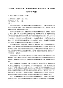 2025届（新高考Ⅰ卷）普通高等学招生统一考试语文模拟试卷（2020年真题）（含答案）