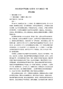 河北省沧州市沧衡八县联考2025届高三一模[高考模拟]语文试题（解析版）