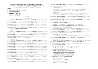 2025届广东省深圳市盐田区高三模拟练习语文测试题（二）（高考模拟）