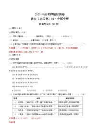2025年高考押题预测卷：语文（上海卷01）（解析版）