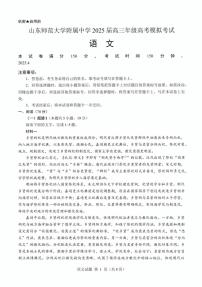 2025年济南市山师附中高三语文二模试题及其答案