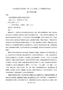 黑龙江省大庆市实验中学2024-2025学年高二上学期期末语文试题 含解析