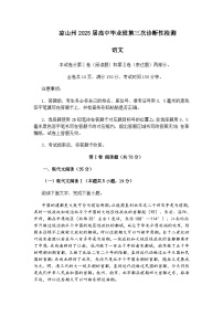 四川省凉山州2025届高三三模语文试题（含答案）