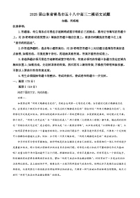 2025届山东省青岛市五十八中高三二模语文试题（原卷版+解析版）（高考模拟）