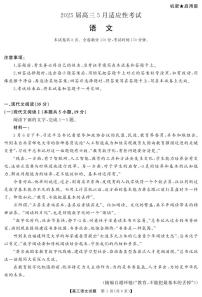 语文丨天壹名校联盟湖南省2025届高三下学期5月适应性考试试卷及答案
