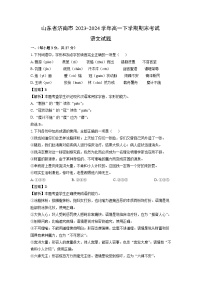 山东省济南市2023-2024学年高一下学期期末考试语文试题（解析版）