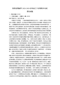 陕西省渭南市2023-2024学年高二下学期期中考试语文试题（解析版）