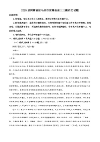 2025届河南省驻马店市汝南县高三三模语文试题（原卷版+解析版）（高考模拟）