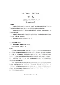 语文丨湖北省新八校协作体2025届高三下学期5月壮行考试卷及答案