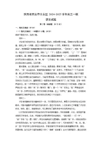 陕西省西安市长安区2024-2025学年高三一模语文试题（解析版）