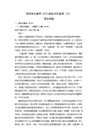 陕西省安康市2025届高考仿真卷（三）语文试题（解析版）