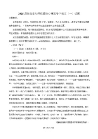 湖北省九师联盟2025届高三下学期核心模拟卷语文（一）试卷（Word版附解析）