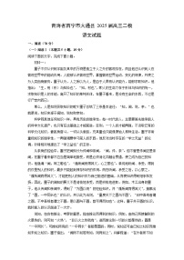 青海省西宁市大通县2025届高三二模语文试题（解析版）
