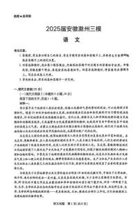 2025届安徽省滁州市高三三模考试语文试题（高考模拟）