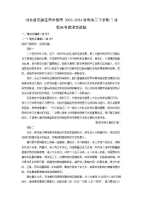 河北省石家庄市辛集市2023-2024学年高二下学期7月期末考试语文试题（解析版）