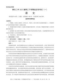 2025届湖北省黄石市第二中学高三下学期适应性考试（一）语文试卷
