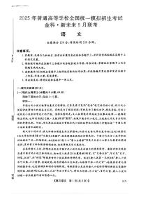 2025届河南省金科新未来高三下学期5月联考语文试题（含答案）