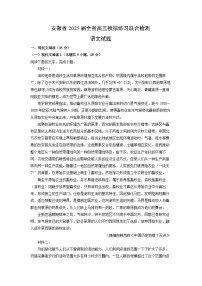 安徽省2025届全省高三模拟练习联合检测语文试卷（解析版）