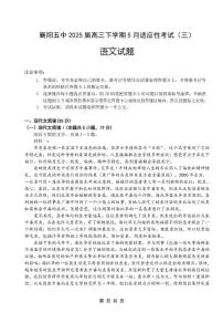 2025届湖北省襄阳市第五中学高三下学期适应性考试（三）语文试卷