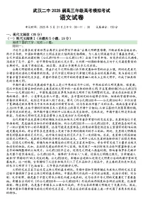 湖北省武汉市第二中学2025届高三下学期5月模拟考试语文试题（Word版附答案）