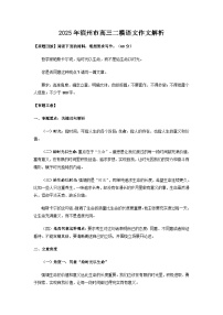 2025年滨州市高三二模语文作文解析学案
