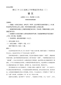 2025届湖北省黄石市第二中学高三下学期适应性考试（二）语文试卷（高考模拟）