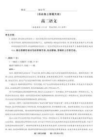 安徽省金榜教育2024-2025学年高二下学期5月阶段性考试语文试卷（PDF版附解析）