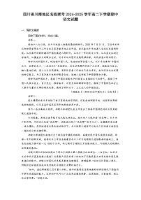 四川省川南地区名校联考2024-2025学年高二下学期期中语文试题（含答案）