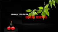 必修 下册桂枝香·金陵怀古授课课件ppt