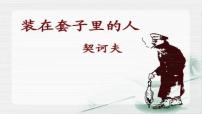 高中语文人教统编版必修 下册13.2* 装在套子里的人说课课件ppt