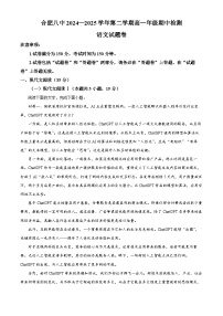 安徽省合肥市八中2024-2025学年高一下学期期中语文试题