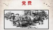 高中人教统编版8.3 *党费背景图课件ppt