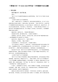 宁夏银川市一中2024-2025学年高一下学期期中语文试题（含答案）