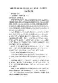 湖南省名校联考联合体2024-2025学年高一下学期期中考试语文试卷（解析版）
