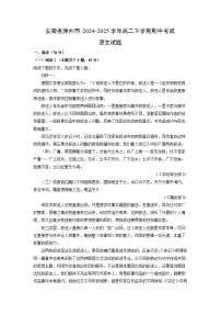 【语文】安徽省滁州市2024-2025学年高二下学期期中考试试题（解析版）