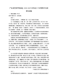 【语文】广东省茂名市电白区2024-2025学年高二下学期期中考试试题（解析版）