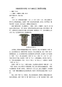 【语文】河南省部分学校2025届高三二模语文试题（解析版）