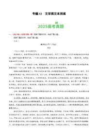 2025年高考语文真题分类汇编：专题03 文学类文本阅读（全国通用）（解析版）