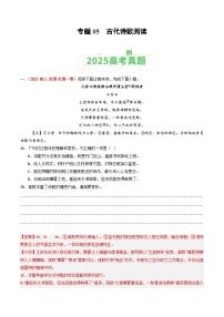 2025年高考语文真题分类汇编：专题05 古代诗歌阅读（全国通用）（解析版）
