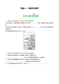 2025年高考语文真题分类汇编：专题06 名篇名句默写（全国通用）（原卷版）