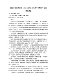【语文】湖北省楚天协作体2024-2025学年高二下学期期中考试试题（解析版）
