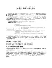 2026届高考一轮复习基础练语文专题一 语言文字运用(任务 5 辨析并修改病句)