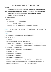 上海市浦东新区2025届高三下学期二模语文试题（Word版附解析）