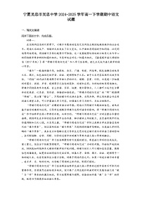 宁夏吴忠市吴忠中学2024-2025学年高一下学期期中语文试题（含答案）