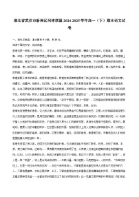 湖北省武汉市新洲区问津联盟2024-2025学年高一（下）期末语文试卷