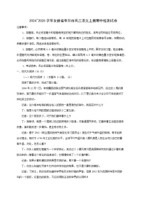 2024_2025学年安徽省阜阳市高二语文上学期期中检测试卷(含解析)